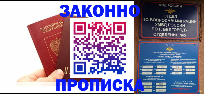 временная регистрация для школы в Чаплыгине